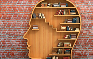 estante de livros